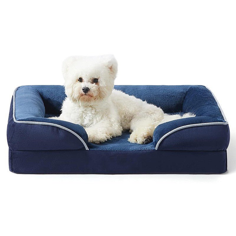 chien assis dans panier chien orthopedique moelleux bleu