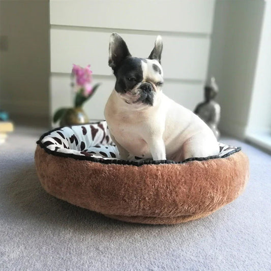 chien assis dans panier pour chien marron mouchete