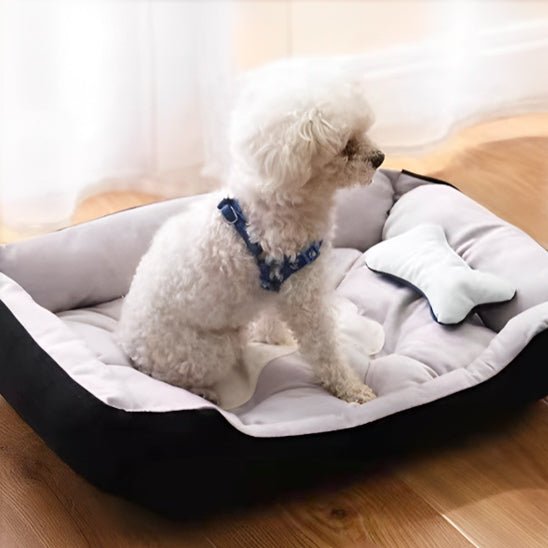 chien assis dans panier pour chien ose