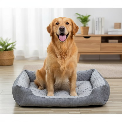 chien_assis_dans_panier_pour_chien velours_haricot