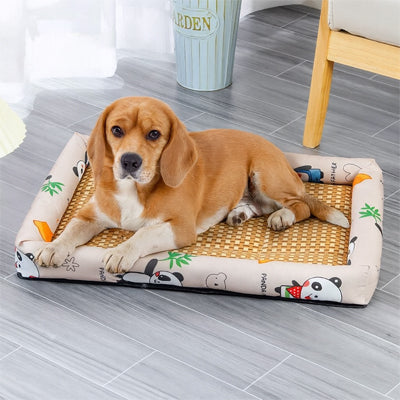 chien assis dans tapis chien rafraichissant tisse