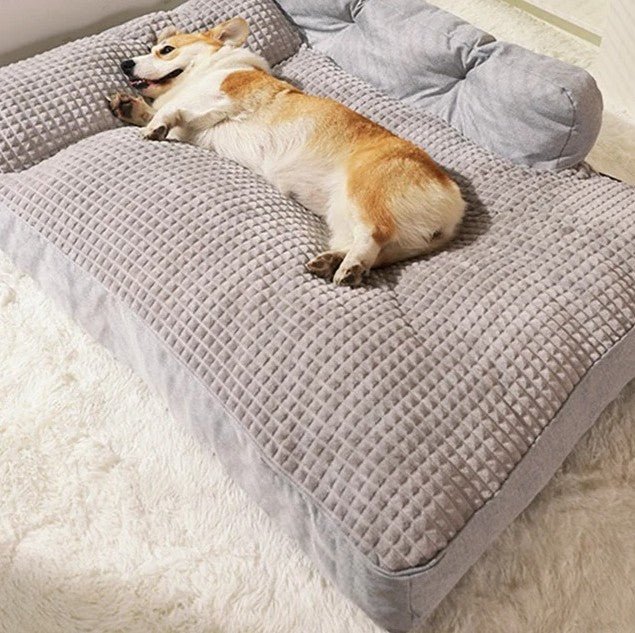 chien assoupi dans canape pour chien paisiblement 