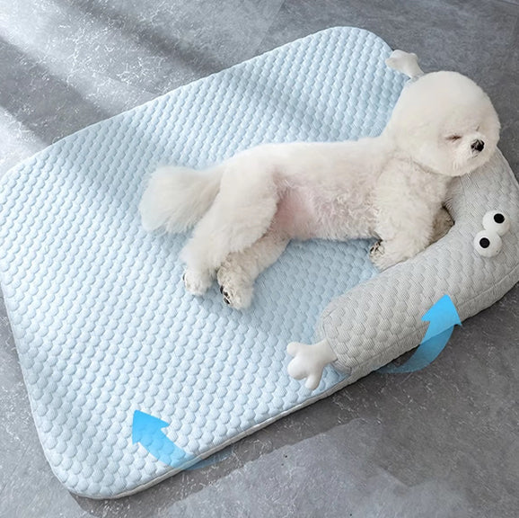 chien assoupie dans coussin chien