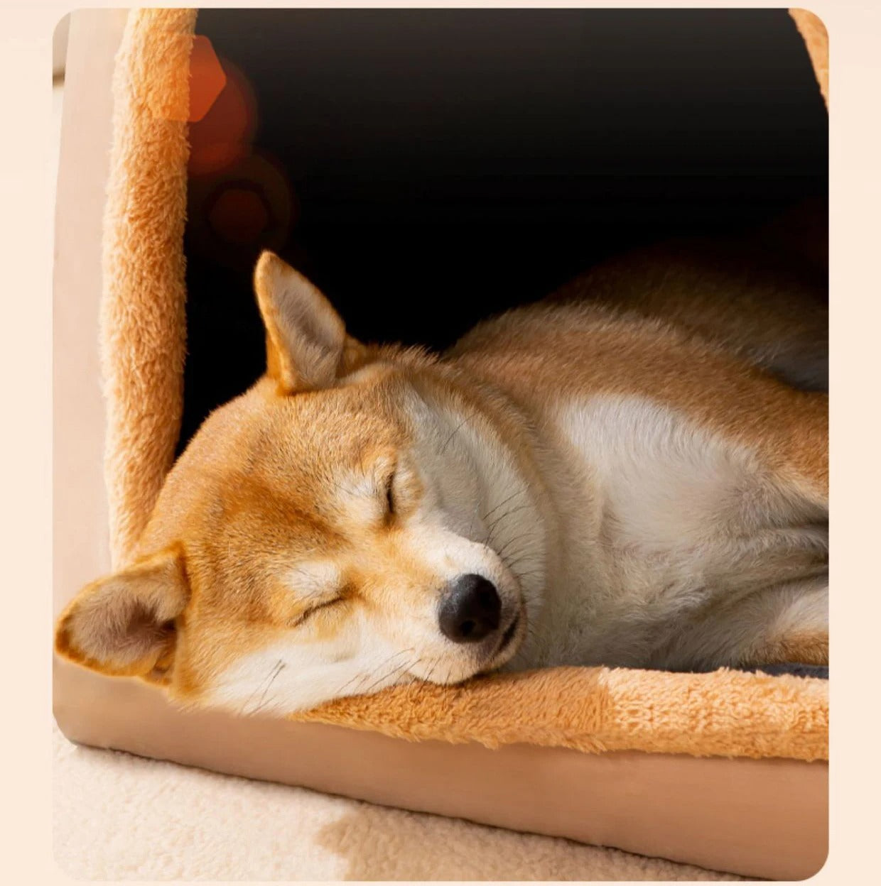 chien assoupie dans niche du chien confortable