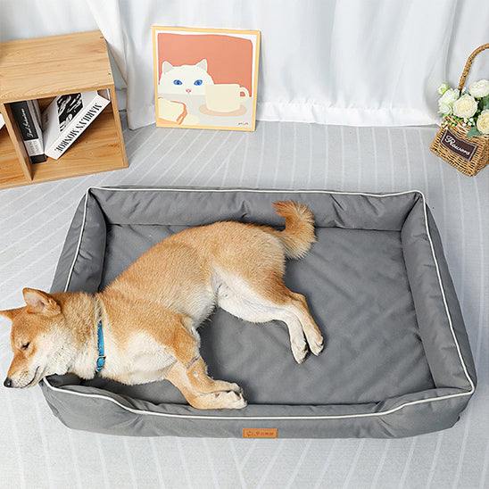 chien assoupie dans panier pour chien orthopédique deluxe salon