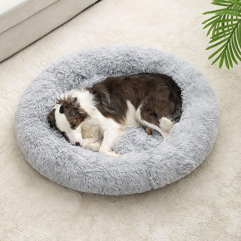chien assoupir dans lit pour chien rond peluche
