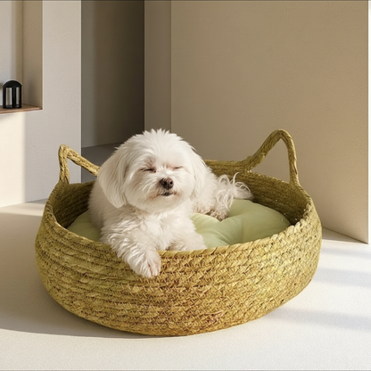 chien_blanc_dans_coussin_pour_chien_en_rotin
