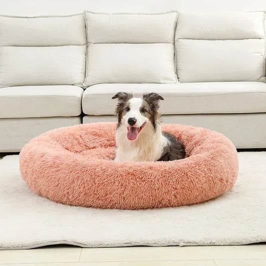 chien blanc marron assis dans lit pour chien rond rose