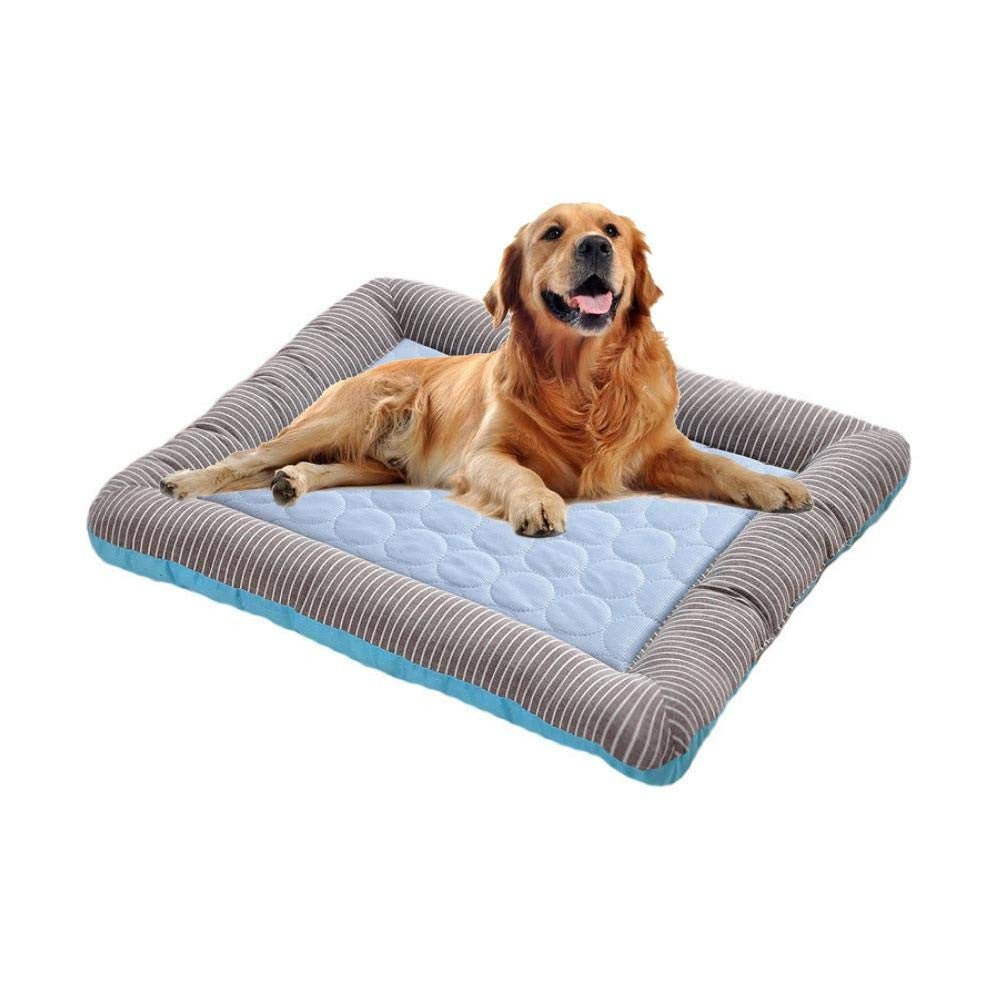 chien confortable dans tapis rafraichissant chien bleu 