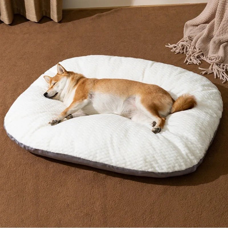 chien confortablement endormi dans panier chien ergonomique