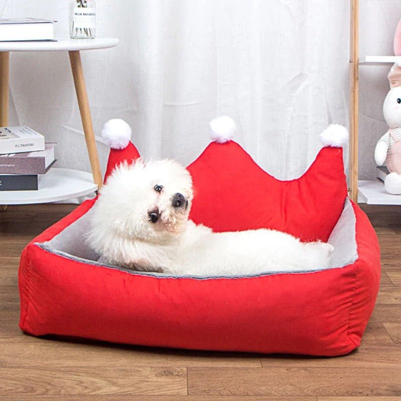 chien content dans canape pour chien confortable  couronne noël