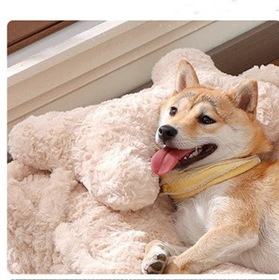 chien content dans coussin pour chien peluche