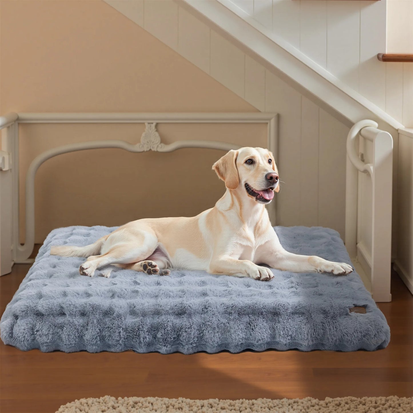 chien content dans lit pour chien confort moelleux gris