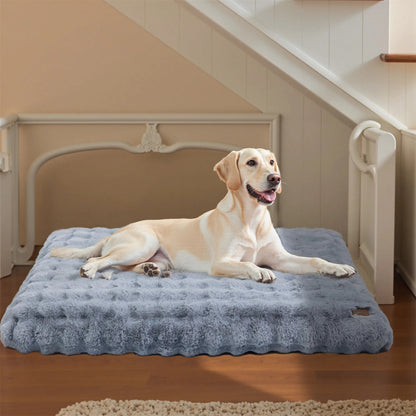 chien content dans lit pour chien confort moelleux gris