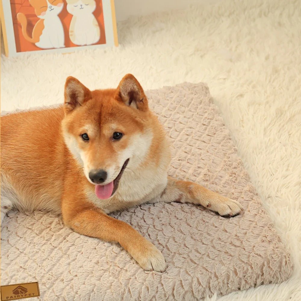 chien content dans lit pour chien en mousse 3D beige