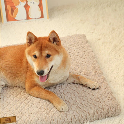 chien content dans lit pour chien en mousse 3D beige