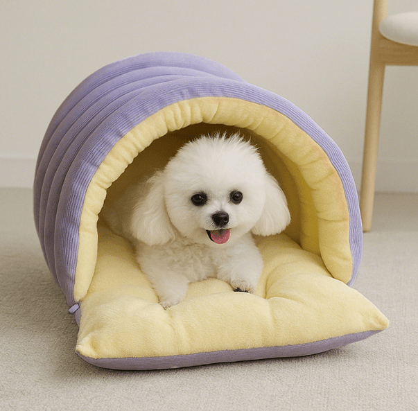 chien content dans niche pour chien moderne