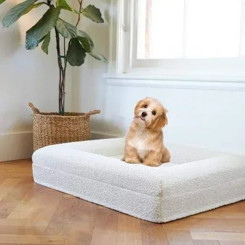 chien content dans panier chien luxe amemoire de forme
