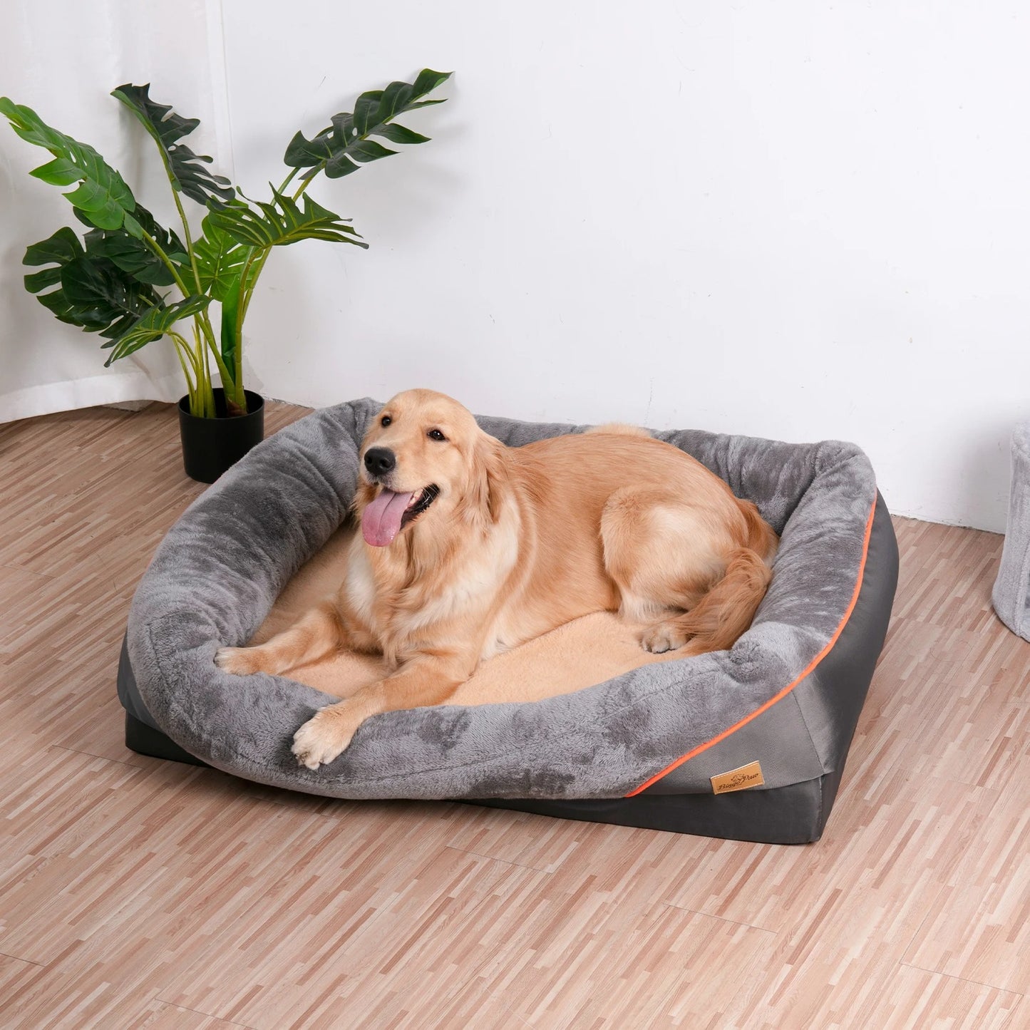 chien content dans son lit pour chien orthopédique, maison