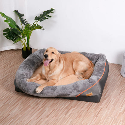 chien content dans son lit pour chien orthopédique, maison