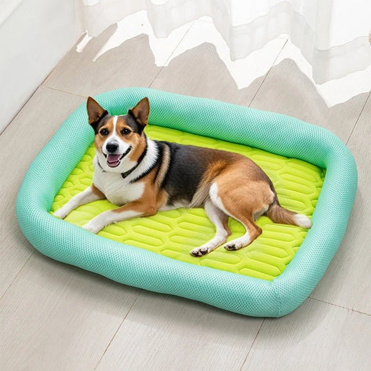 chien content dans tapis rafraichissant chien naturel
