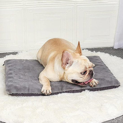 chien couché sur tapis pour chien 
