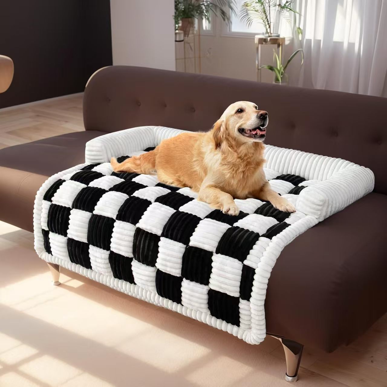 chien couchage en peluche avec traversin