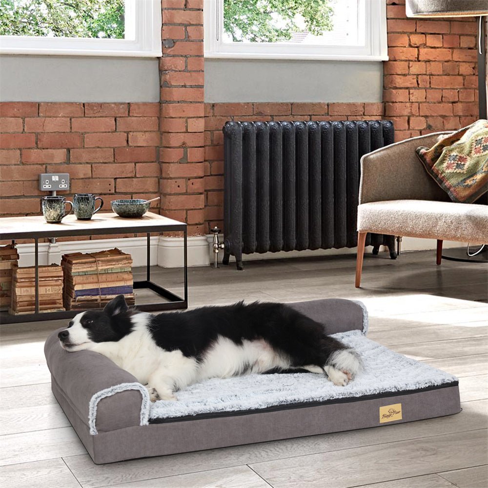 chien détendu dans canape pour chien XL maison