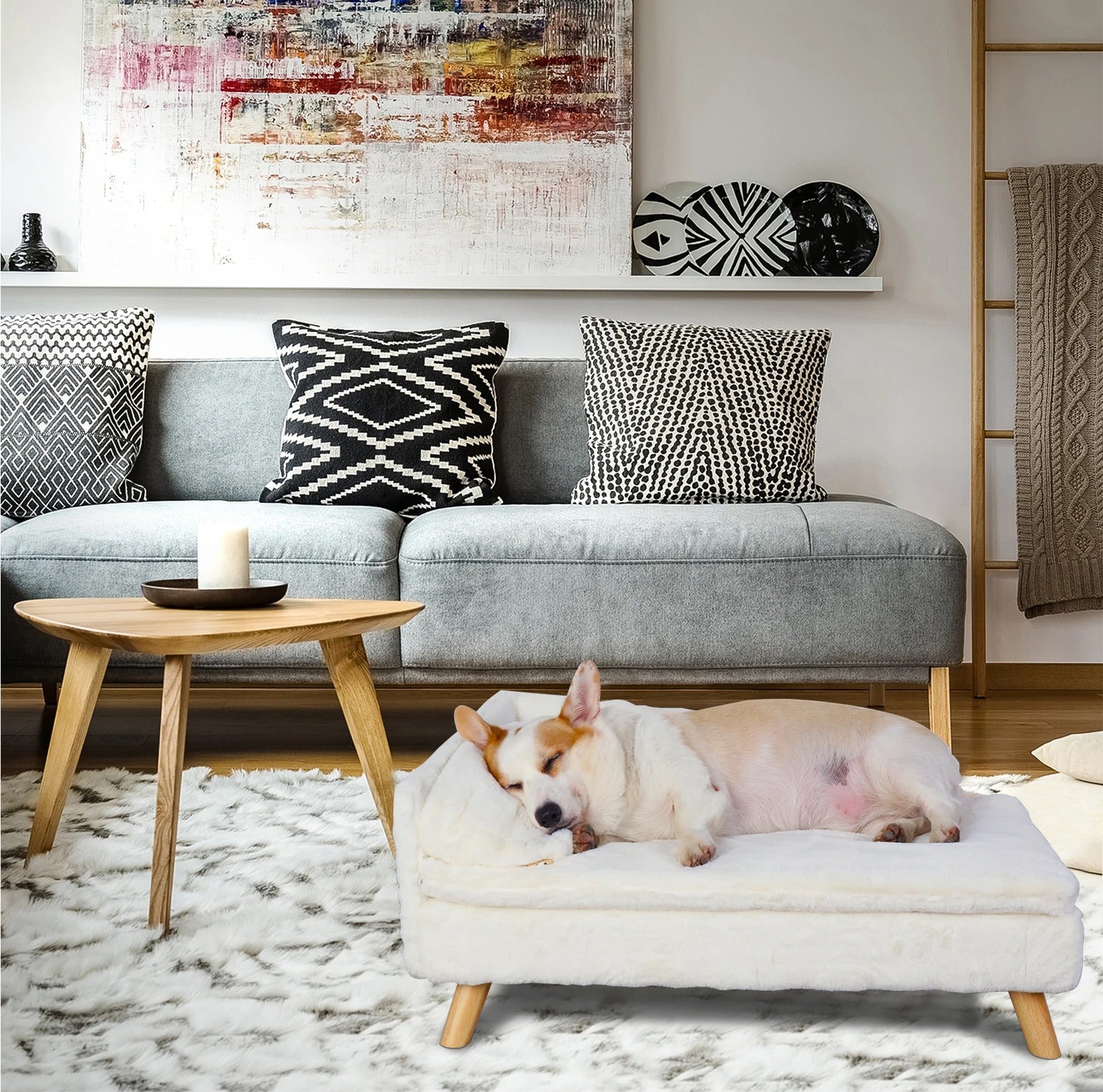 chien détendu dans canape pour chien dans salon