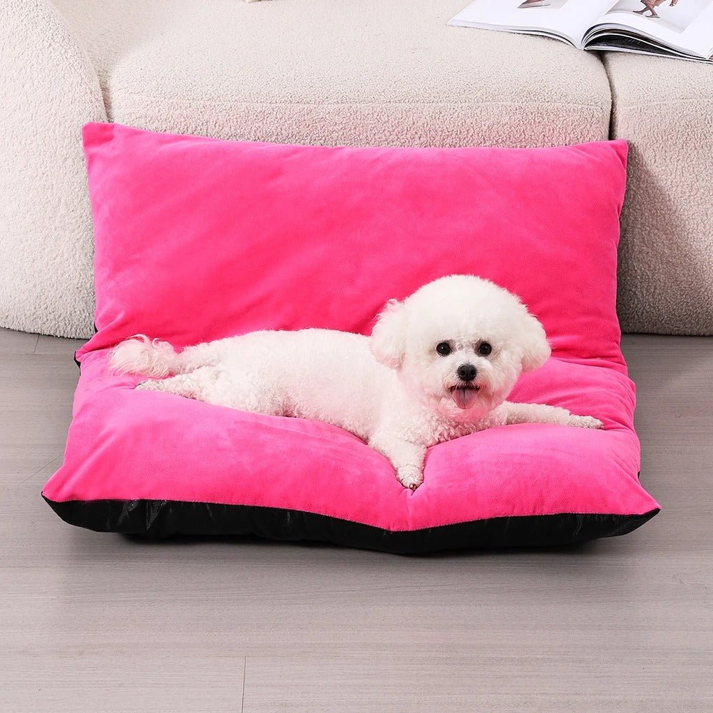 chien détendu sur canapé pour chien doux rose
