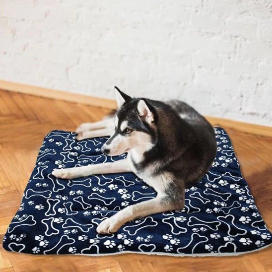 chien détendu sur son tapis pour chien couleur bleu