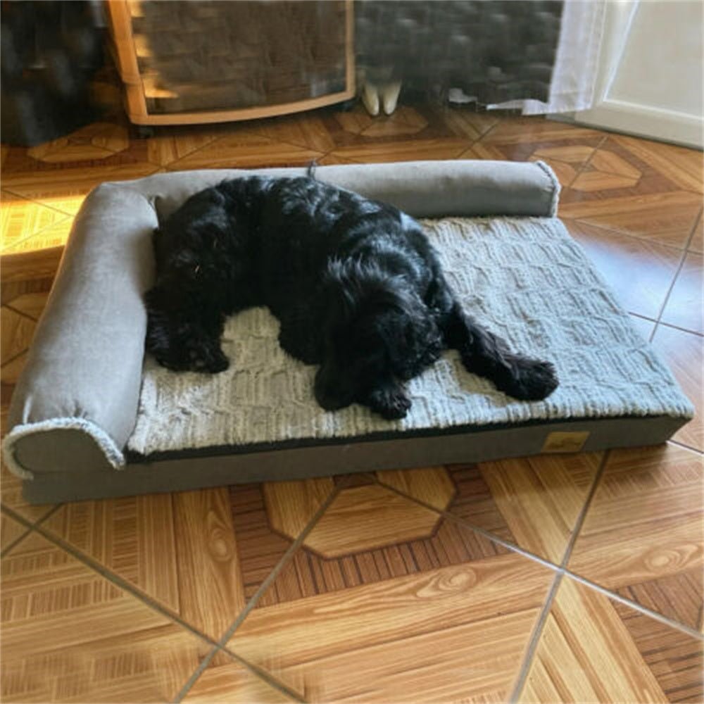 chien dans canape pour chien  XL sol parquet