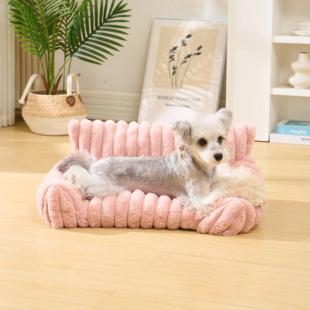 chien dans canape pour chien peluche rose
