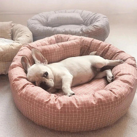 chien dans coussin chien carreaux rose