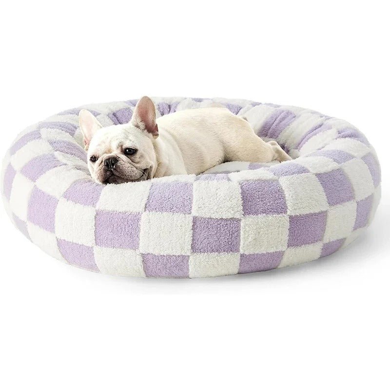 chien_dans_coussin_chien_domino