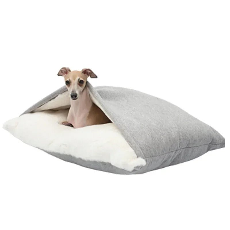 chien dans coussin chien gris
