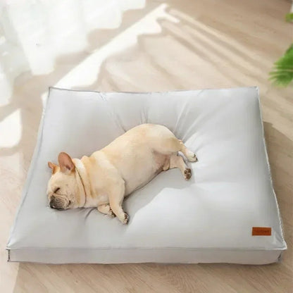chien dans coussin_pour_chien_moelleux_chic