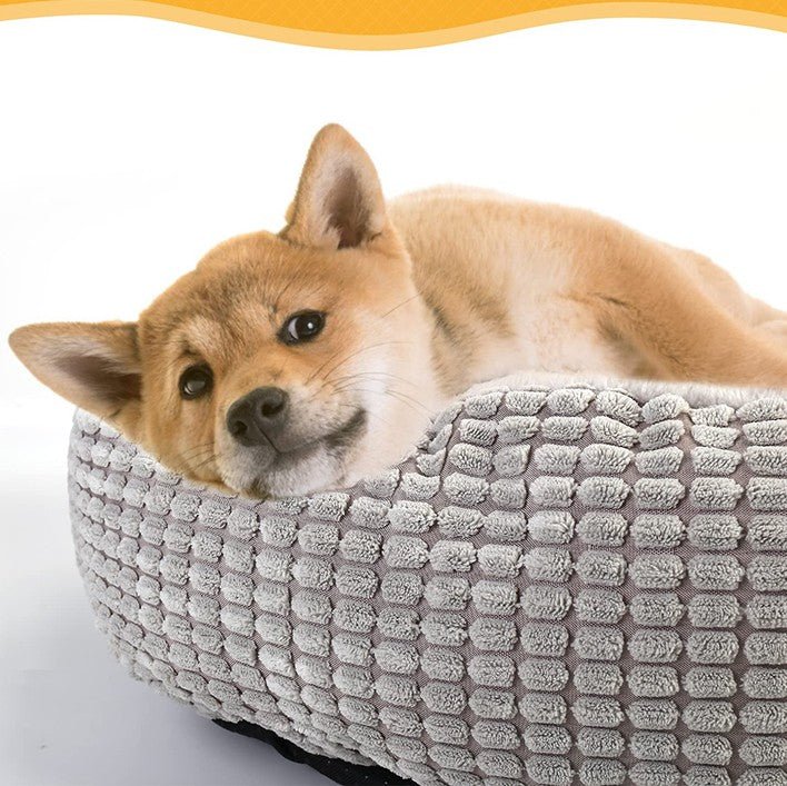 chien_dans_dort_coussin_chien_grotte gris 