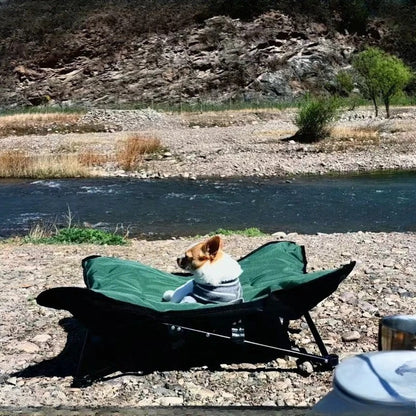 chien dans lit de camp chien randonner