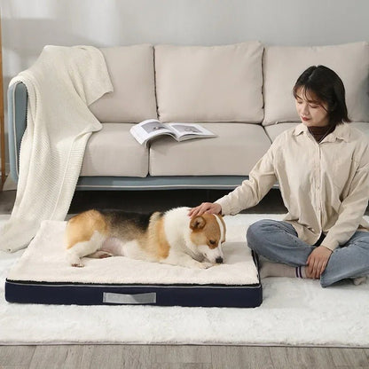 chien dans lit pour chien confort impermeable avec maitresse