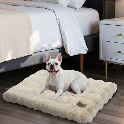 chien dans lit pour chien confort moelleux dans chambre