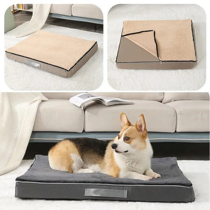 chien dans lit pour chien impermeable dans salon