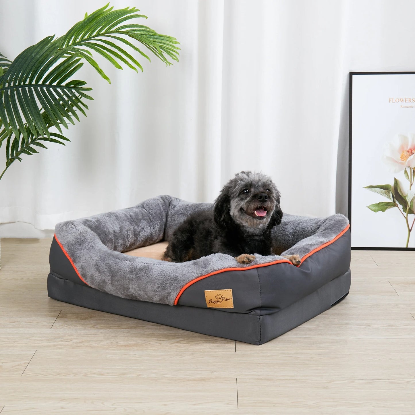 chien dans lit pour chien orthopédique, dans salon