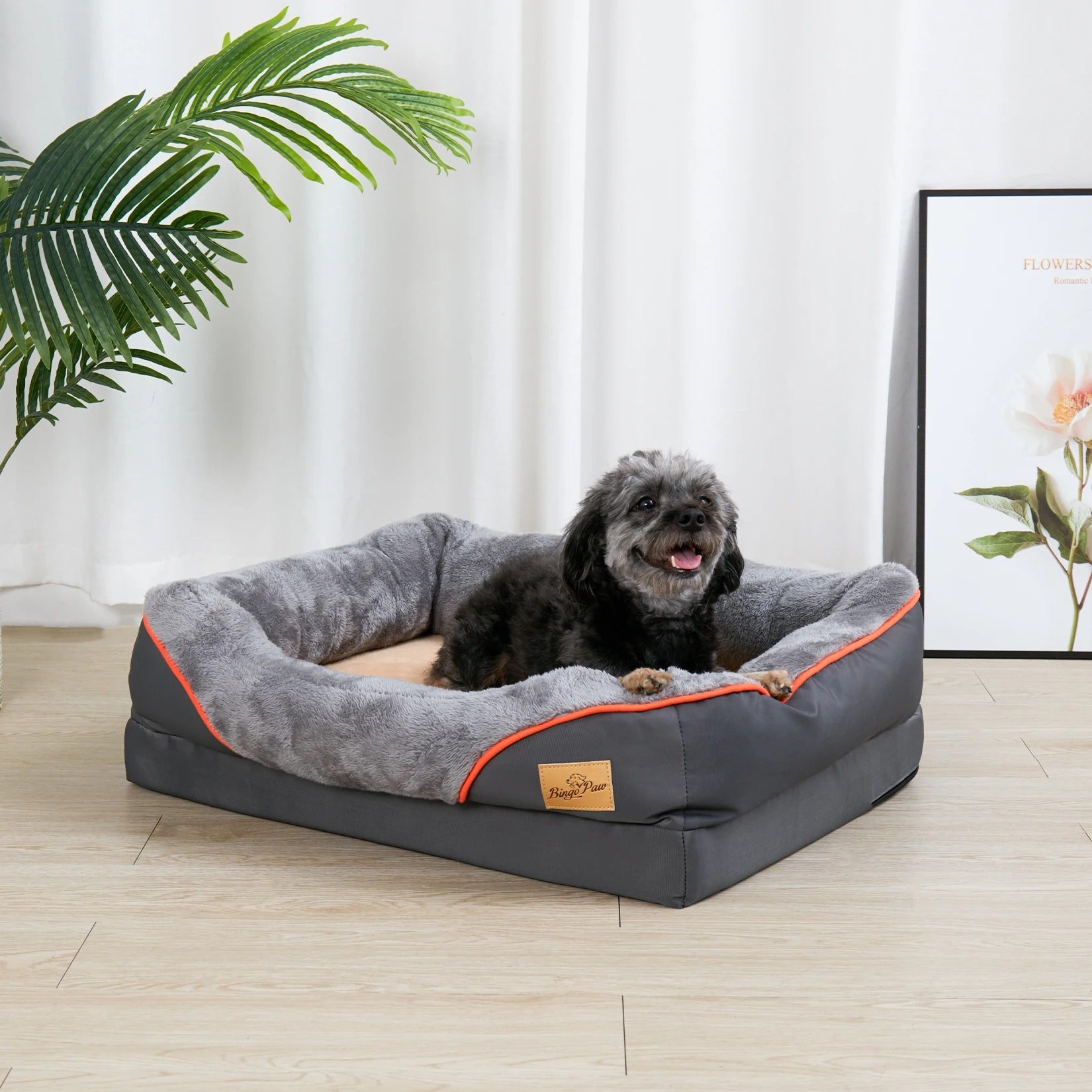 chien dans lit pour chien orthopédique, dans salon