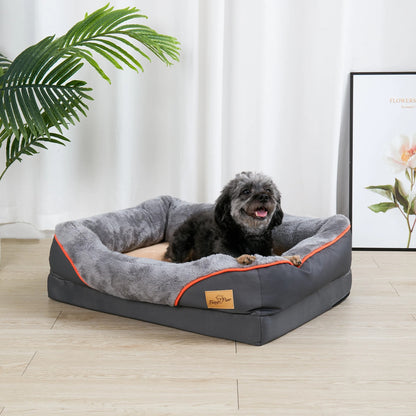 chien dans lit pour chien orthopédique, dans salon