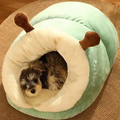 chien dans lit pour chien pantoufle vert