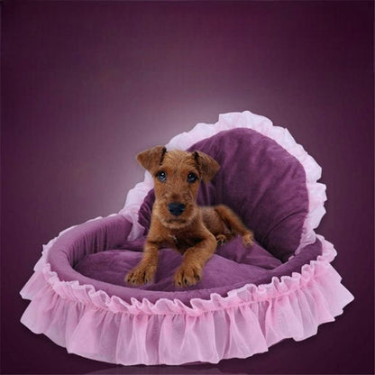 chien dans lit pour chien violet en dentelle 