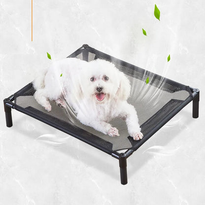 chien dans  lit surleve chien noir