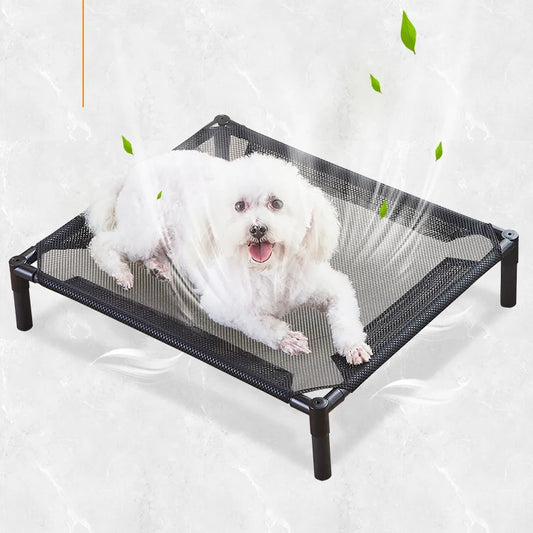 chien dans  lit surleve chien noir