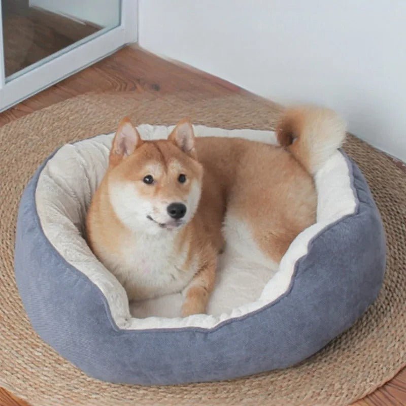 chien dans panier chien confort douillet gris